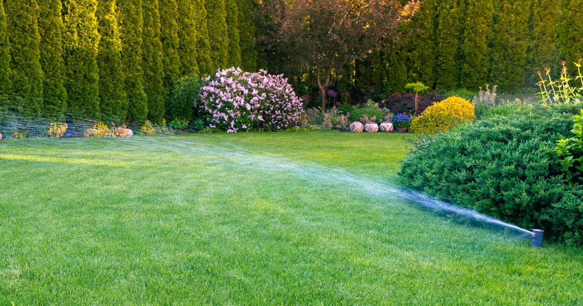25-Leading-Lawn-Irrigation-Websites-for-2020.jpg